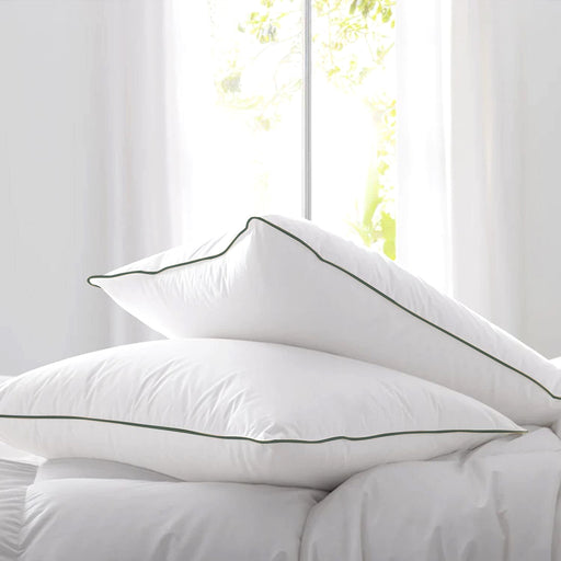 ARMN brand Pack of 2 Pillows